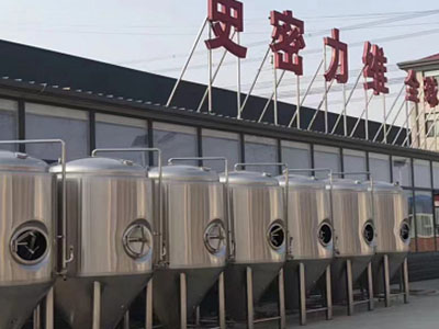 哈巴河精酿啤酒设备厂—如何判断精酿啤酒设备的密封件需要更换？